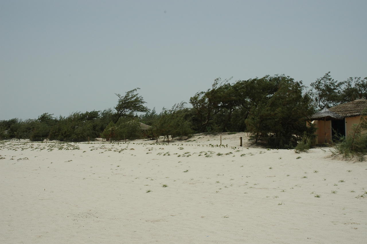 Diamarek Hotel Sur La Plage Saint-Louis Bagian luar foto